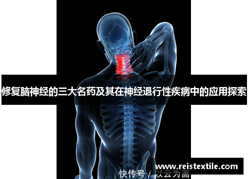 修复脑神经的三大名药及其在神经退行性疾病中的应用探索 修复脑神经的三大名药及其在神经退行性疾病中的应用探索