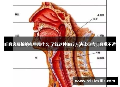 咽喉炎最怕的克星是什么 了解这种治疗方法让你告别喉咙不适 咽喉炎最怕的克星是什么 了解这种治疗方法让你告别喉咙不适